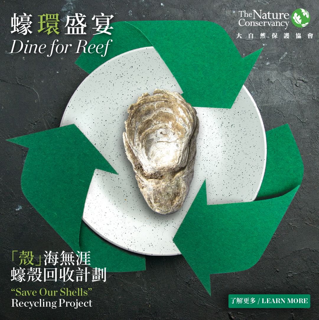 🌊Happy World Oceans Day!

By continuing to partner up with @tnc_hk on recycling discarded oyster shells from our restaurants, we hope to encourage our guests to appreciate the invaluable oceans together! 

#SD2030 #ThinkDifferently #SmallActionsBigChanges #EASTGoGreen #OysterRecycling #Oystershell_Recycle #MarineLife #Oceans #SaveOurShellsHK #WorldOceansDay