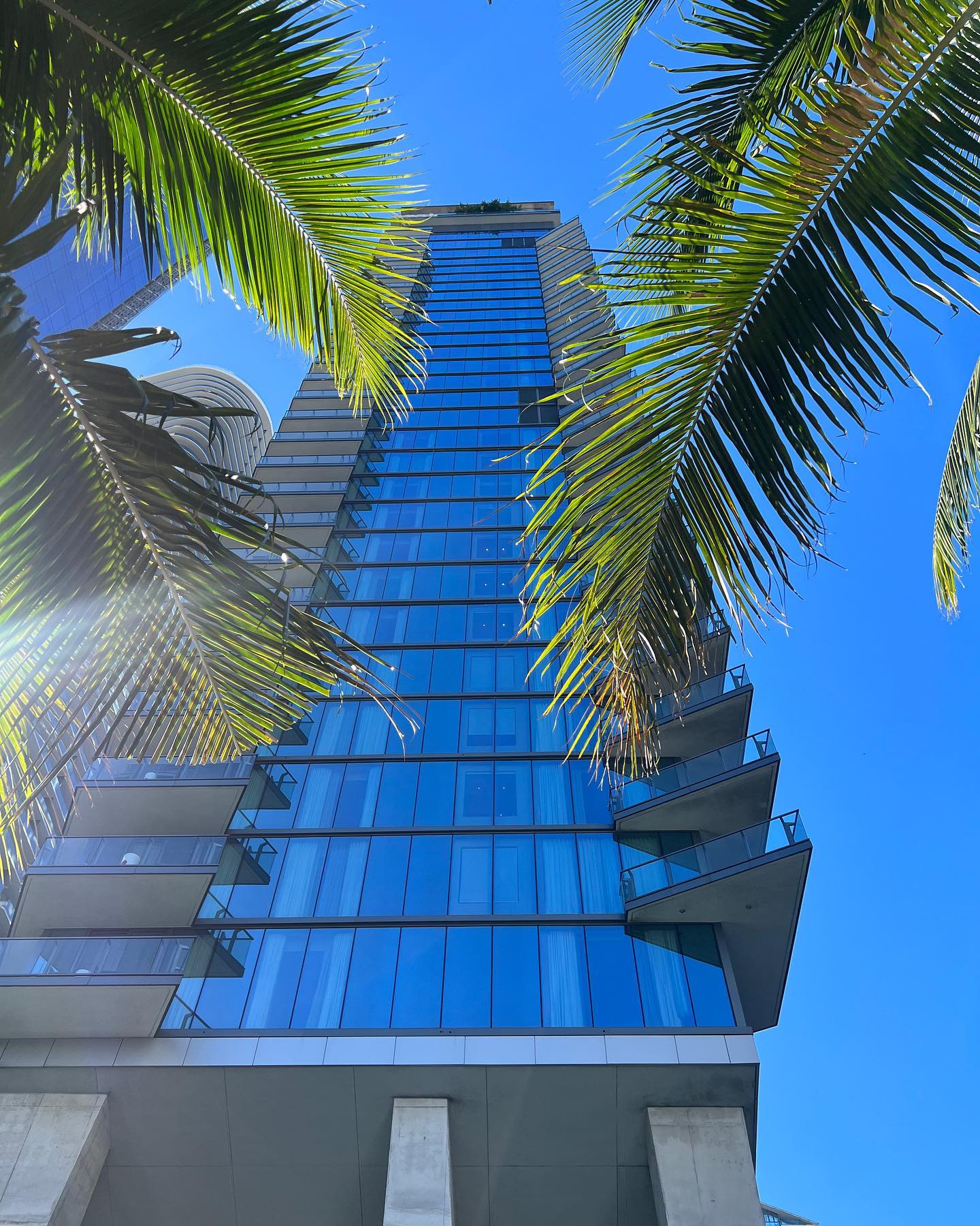 Soaring high with Miami vibes #atEAST